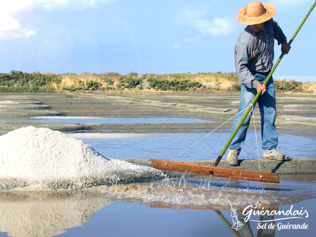 raccolta Sale di Guérande Sale di Guérande
