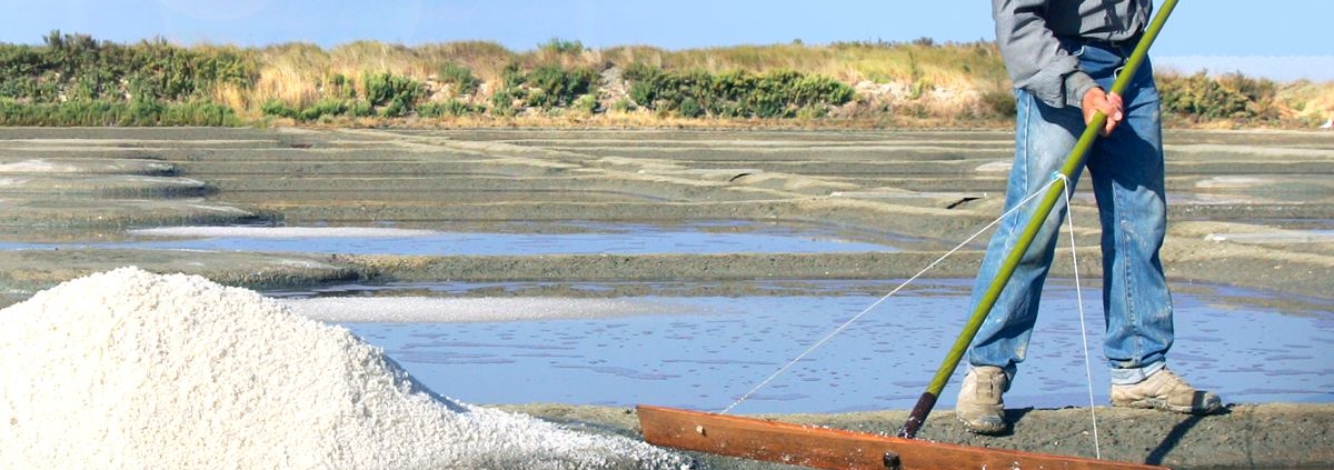 Sale di Guérande