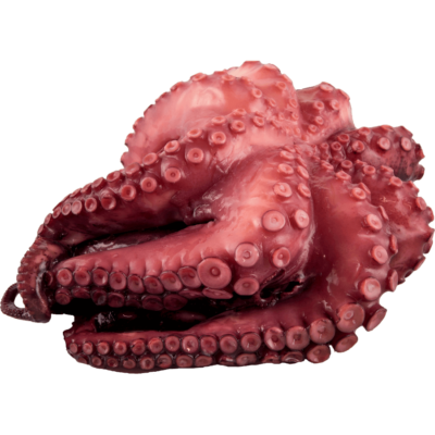 polpo cotto al vapore