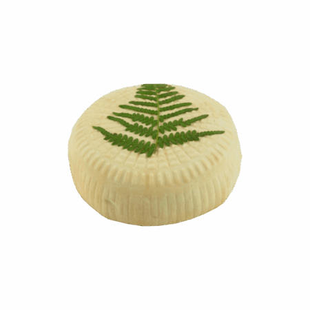 Petit Brebis a Filetta